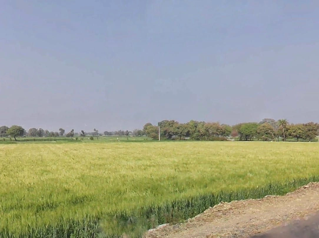 Digod, Rajasthan, India