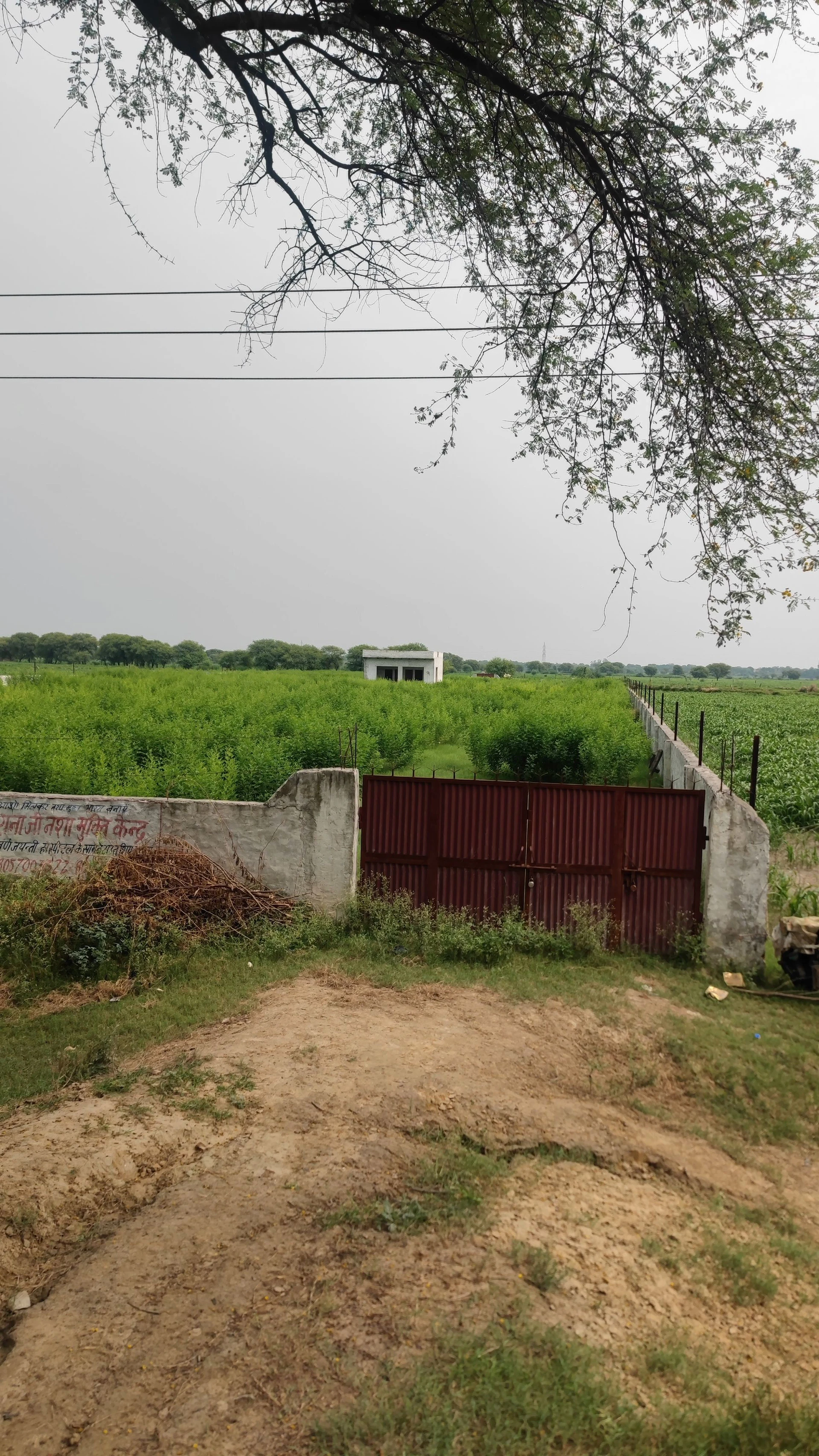 Mant, Uttar Pradesh 281202, India