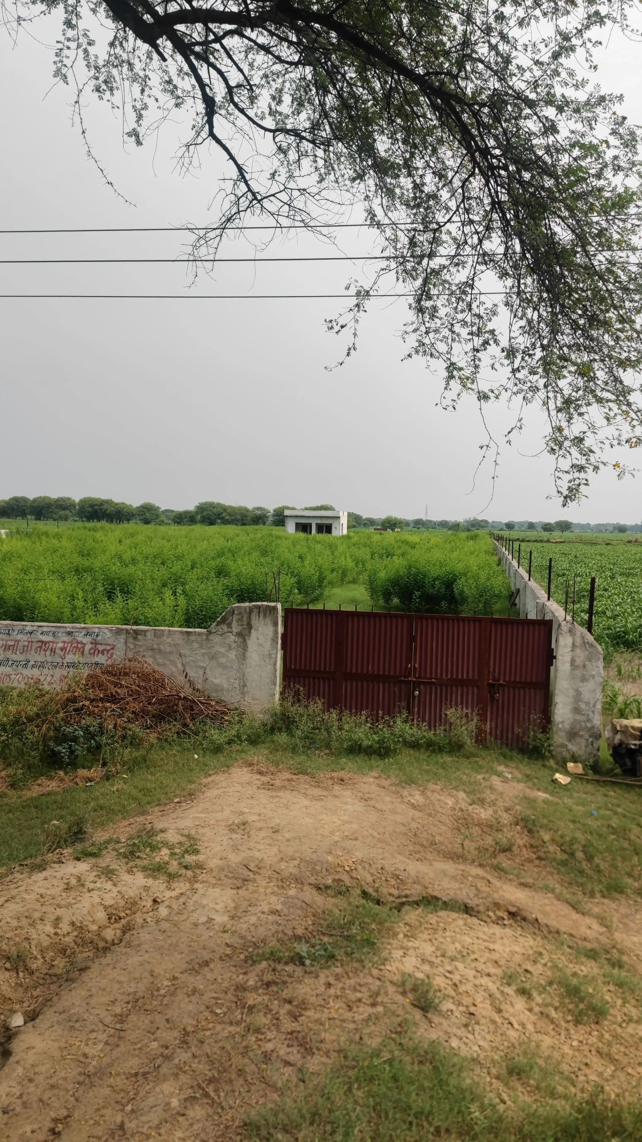 Mant, Uttar Pradesh 281202, India