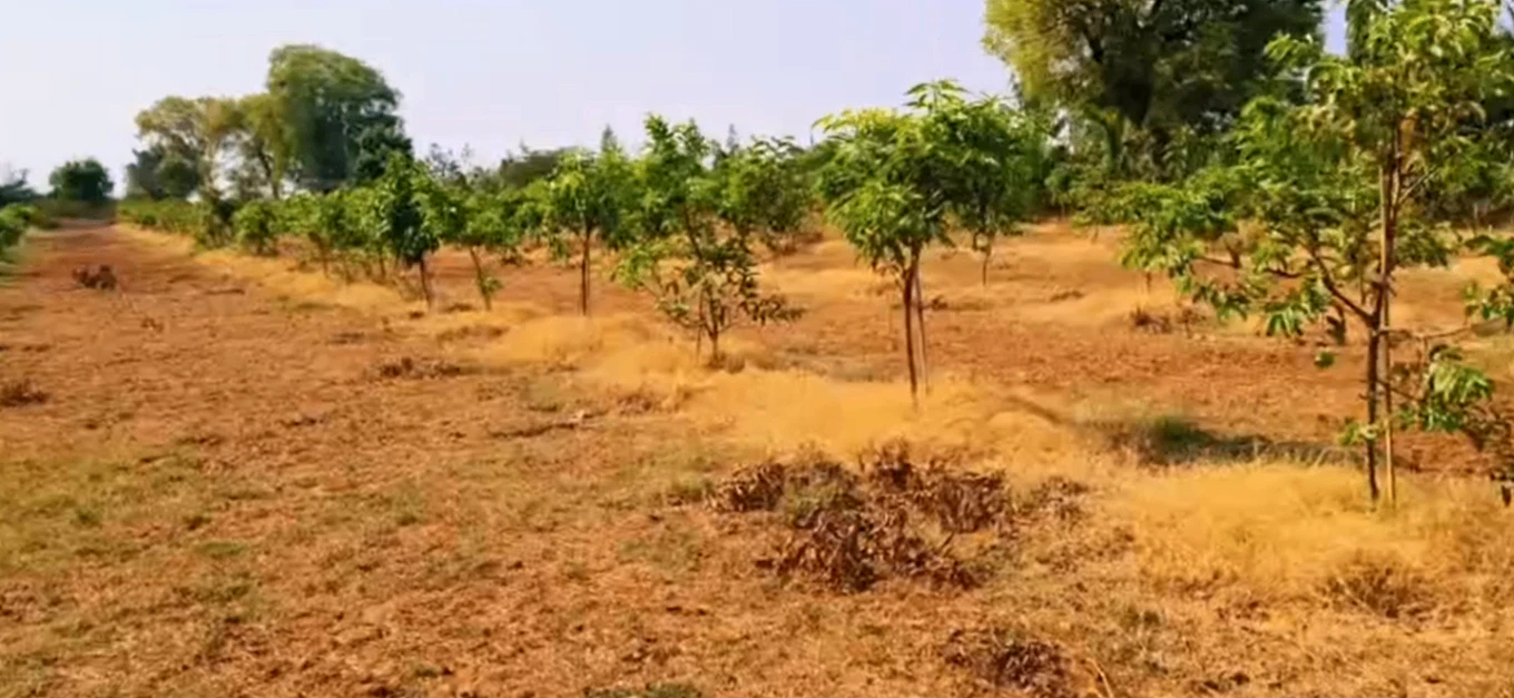 RP2J+52 Angadi Kistapur, Siddipet, Telangana, India