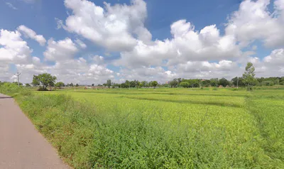 Amangal, Telangana 509321, India preview 3