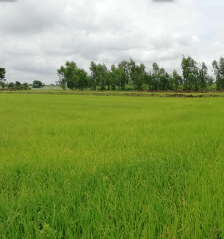 Beesalpur, Rajasthan, India