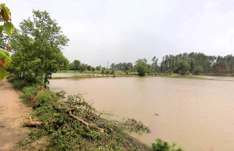 Pahrawar, Haryana 124021, India preview 3