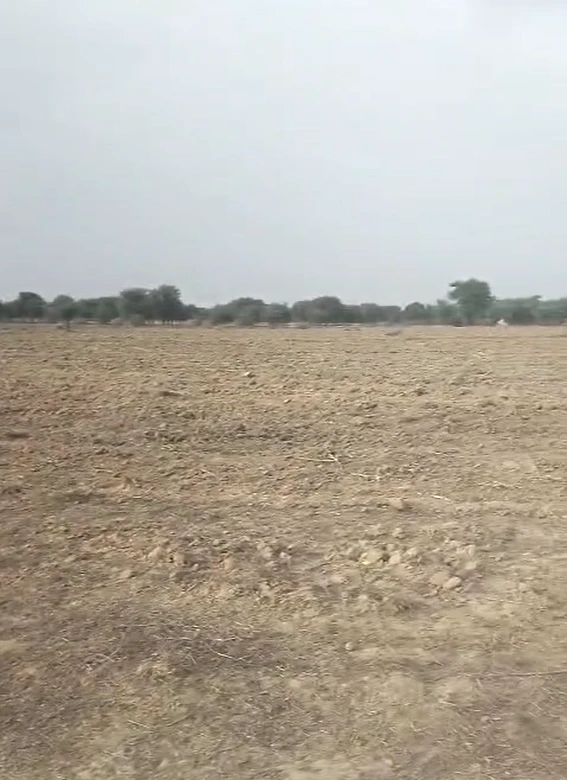 29F3+JJ Kableshwar, Rajasthan, India