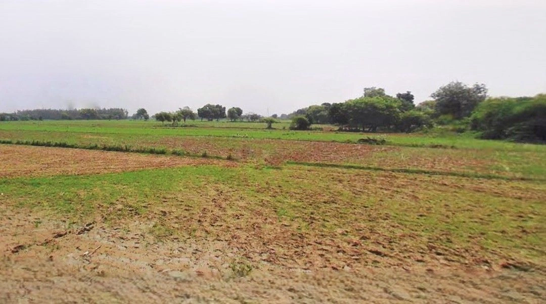 Purwa, Uttar Pradesh, India
