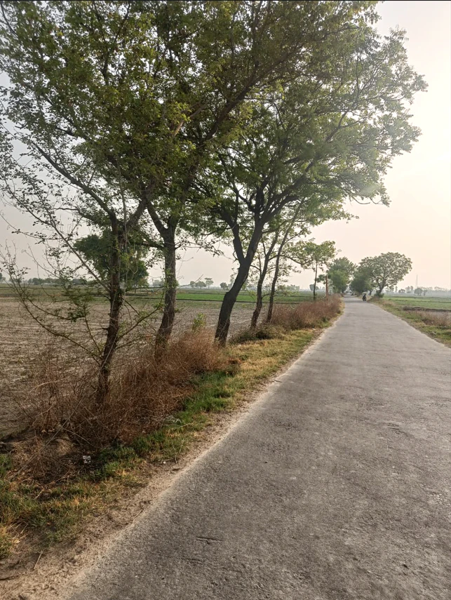 Bara, Mahoba, Uttar Pradesh 210433, India