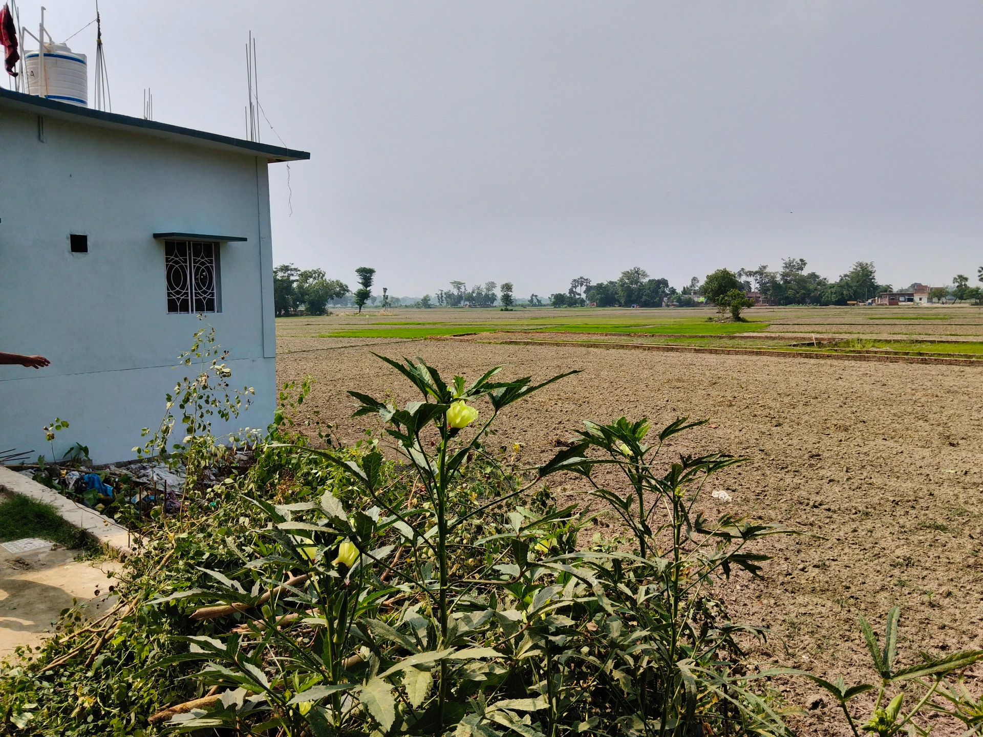Harpur Machhagar, Uttar Pradesh 274149, India