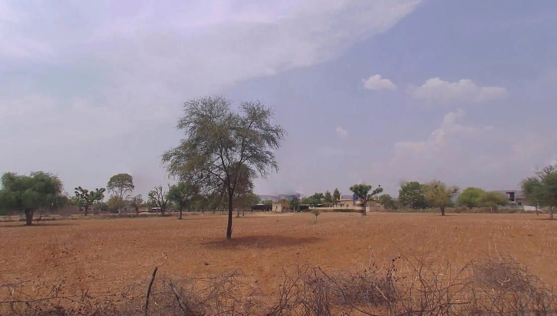 G8XJ+88V, Sheeshyoo, Rajasthan, India preview 3