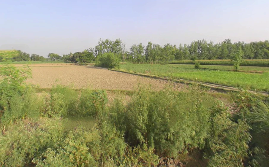 M4FG+6G Bahadurgarh, Uttar Pradesh, India