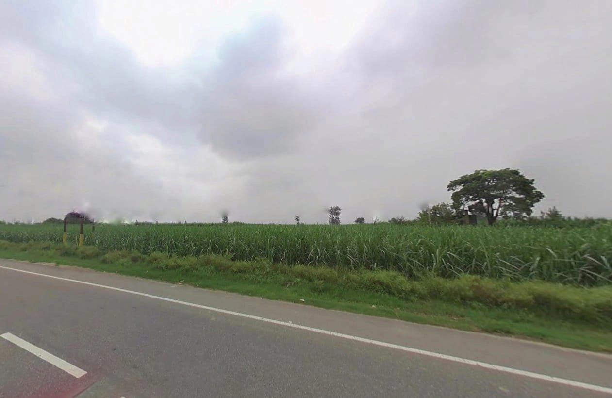 Budhana, Uttar Pradesh 251309, India