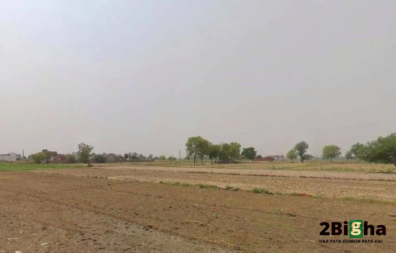 RH77+3MJ Kalchhina, Road, Sikri Khurd, Modinagar, Uttar Pradesh 245304, India preview 2