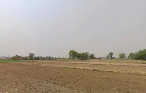 RH77+3MJ Kalchhina, Road, Sikri Khurd, Modinagar, Uttar Pradesh 245304, India preview 2