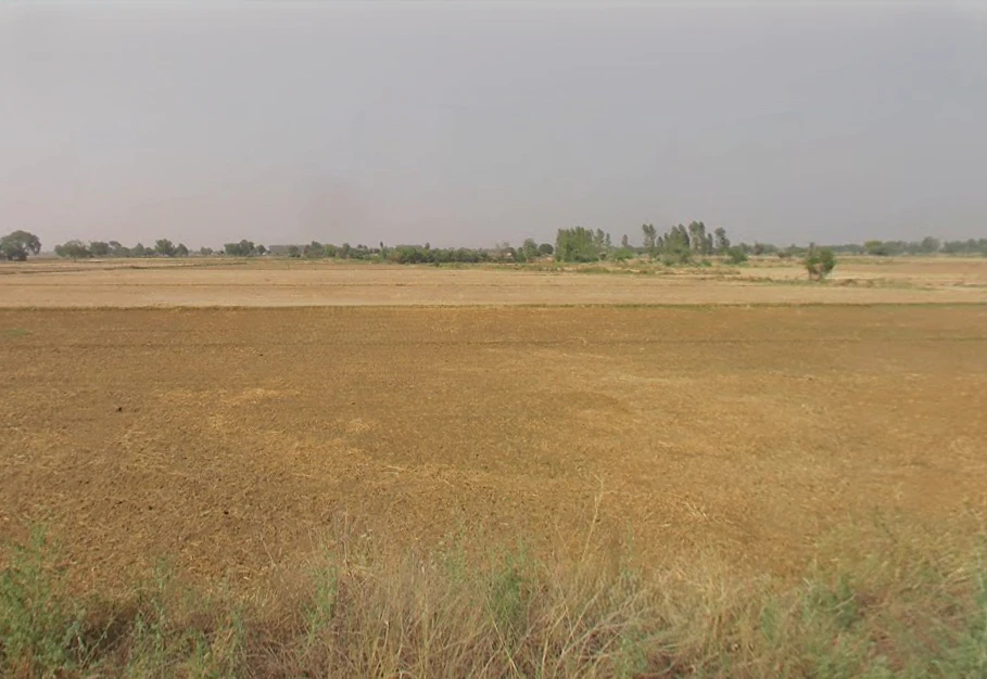 Khurja, Uttar Pradesh 203131, India