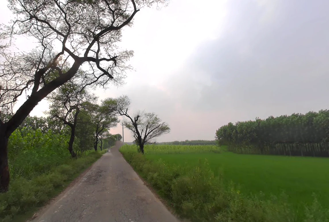 Abdullapur Mazara Naugaun, Uttar Pradesh 247121, India