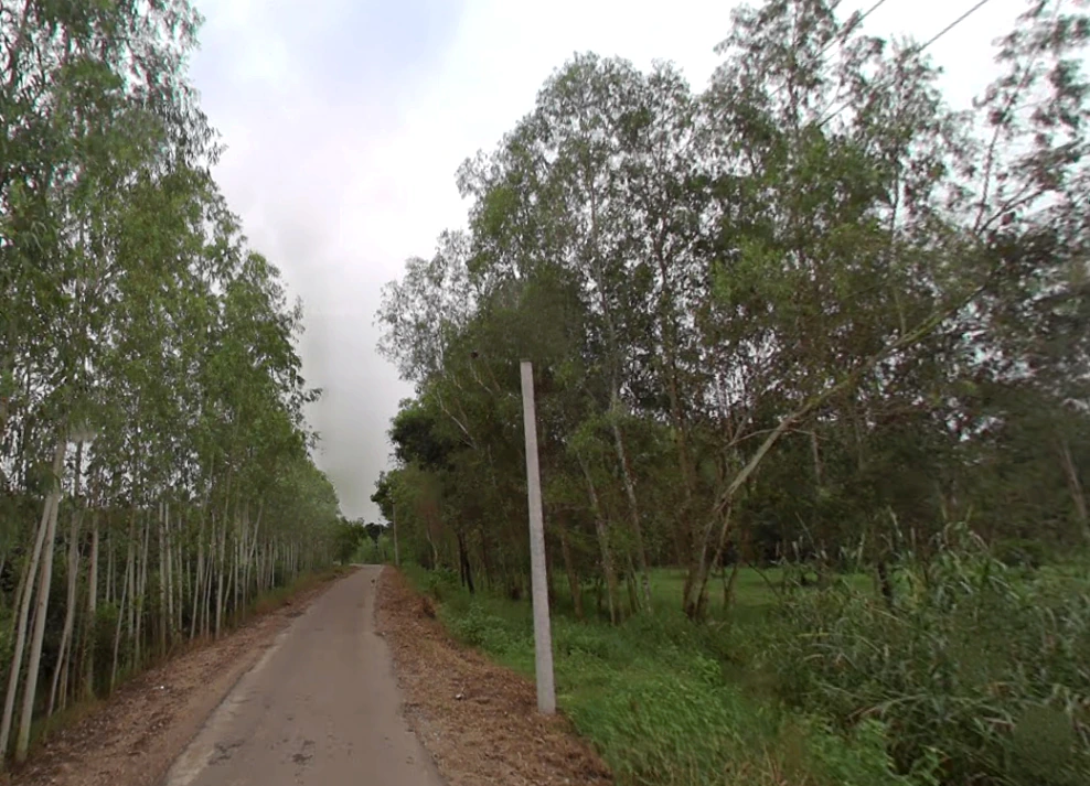 Mata Shakumbhari Devi Rd, Alipur Alis Bhagwala, Uttar Pradesh, India