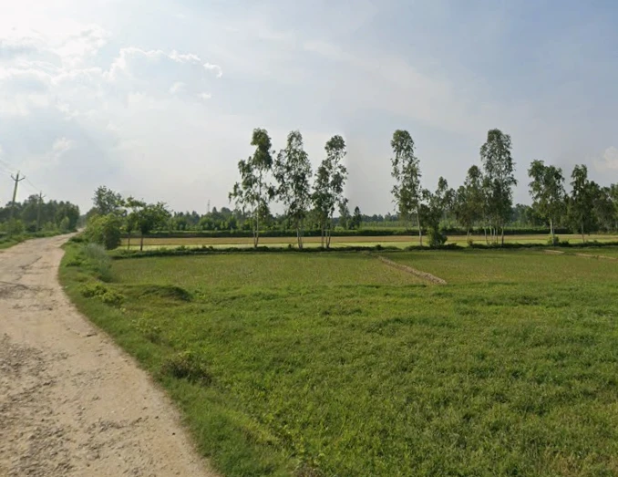 Faridpur, Uttar Pradesh 243503, India