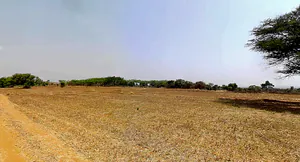 Kallodu, Karnataka, India preview 2