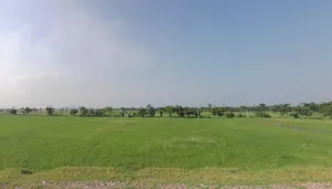 Bihari Bigha, Bihar 803214, India preview 3