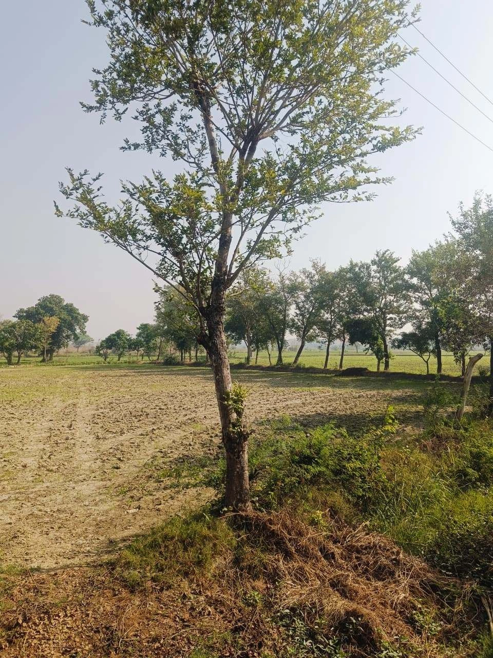 Umari, Mathura, Uttar Pradesh 281123, India