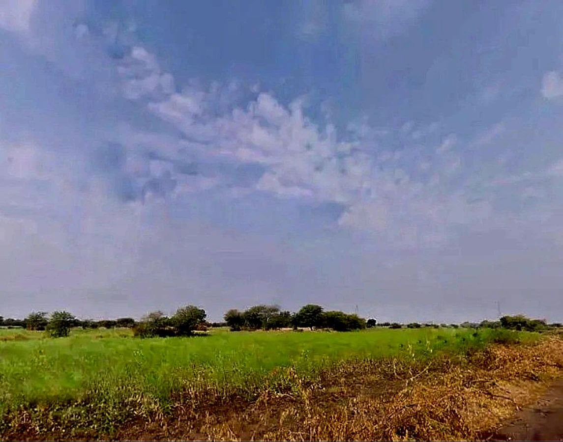 Sargoth, Rajasthan 332404, India