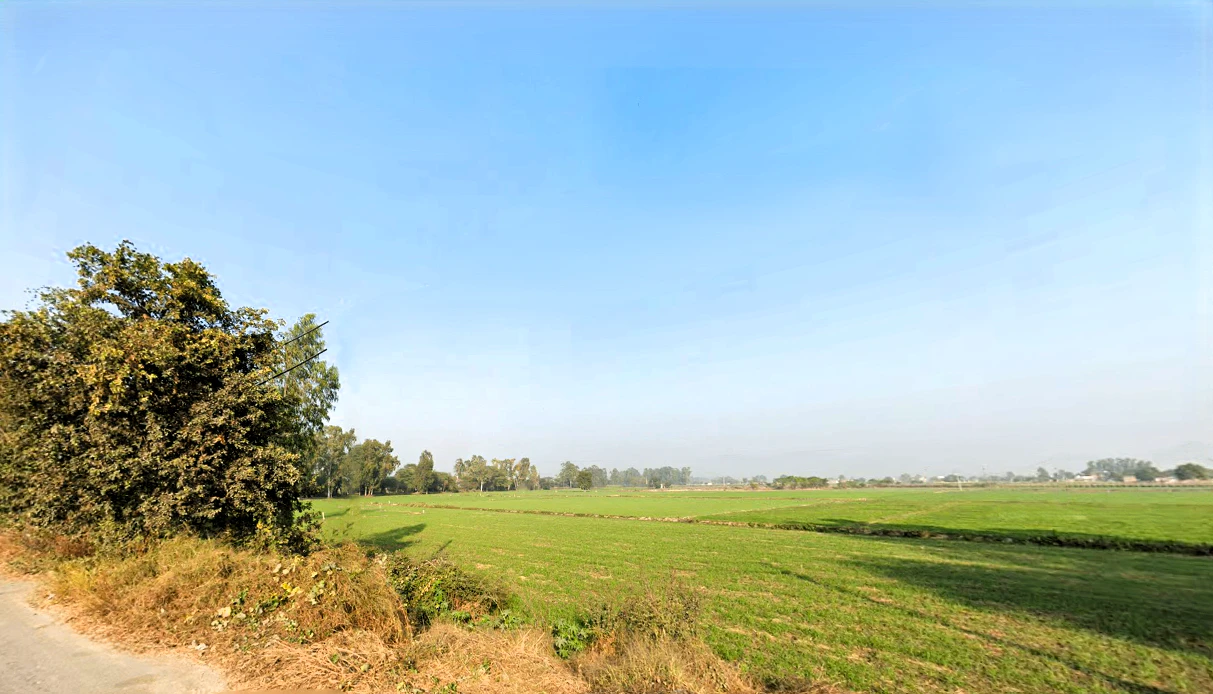 Nilokheri, Haryana 132117, India