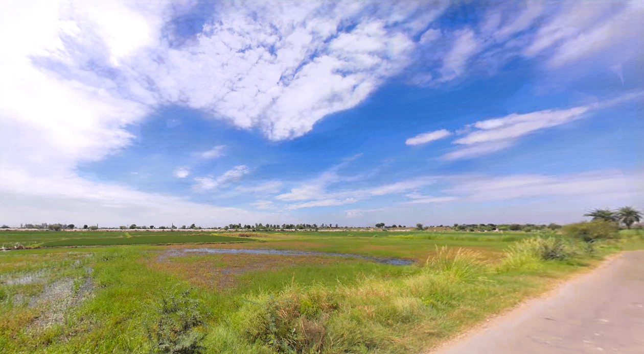 54CM+5MJ, K.K.Pur, Khalilpur, Haryana 122103, India