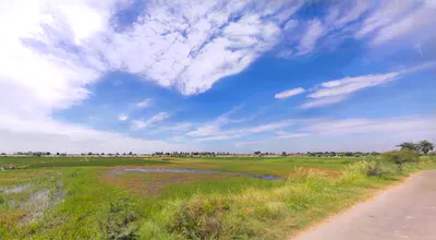 54CM+5MJ, K.K.Pur, Khalilpur, Haryana 122103, India preview 2