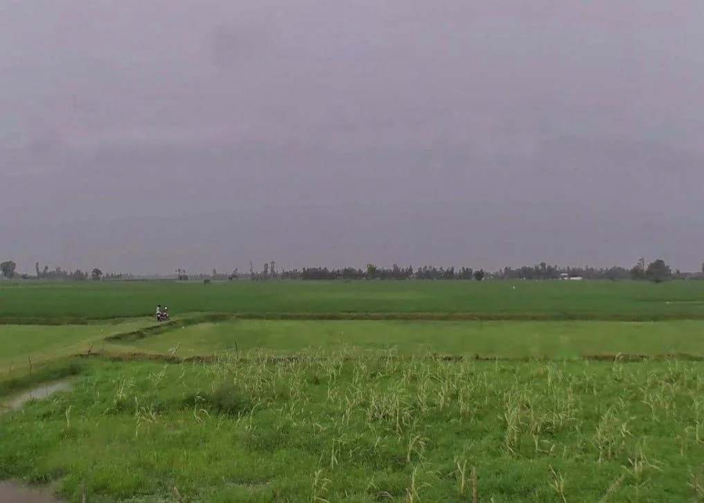 Navdiya, Uttar Pradesh 242042, India