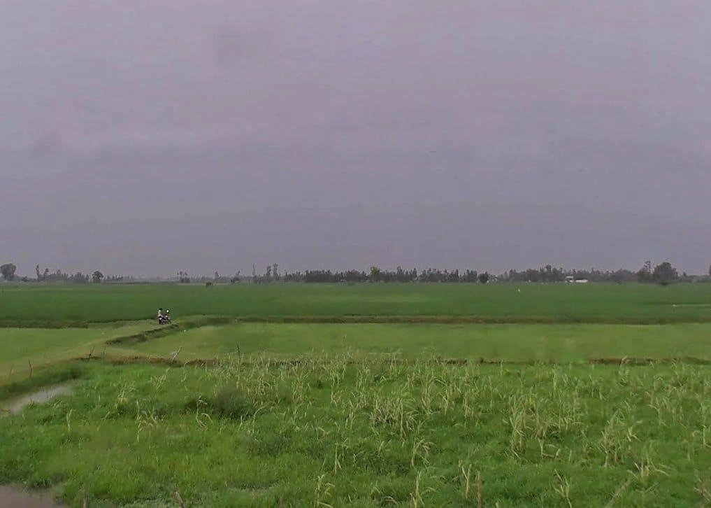 Navdiya, Uttar Pradesh 242042, India