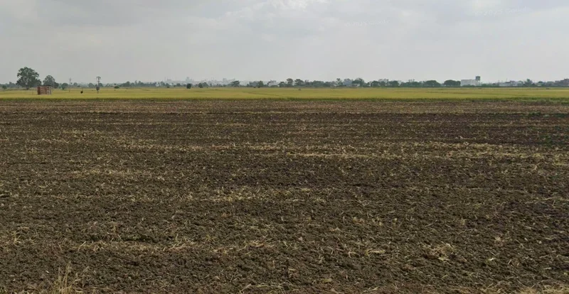 Jaitpur, Madhya Pradesh 484669, India preview 2