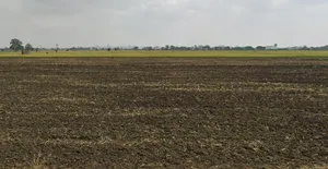 Jaitpur, Madhya Pradesh 484669, India preview 2