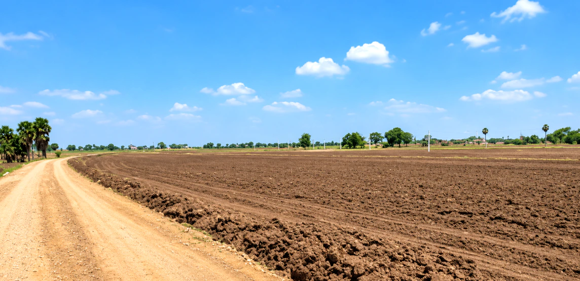 7F2R+8W Jeevangi, Vikarabad, Telangana, India