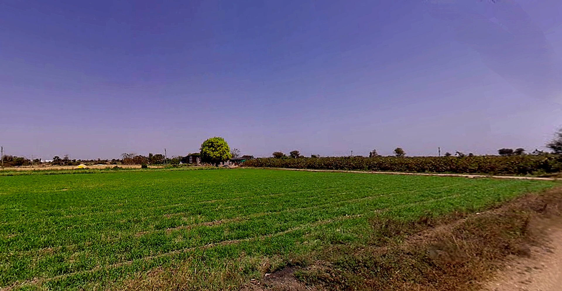 Dashela, Gujarat 382321, India