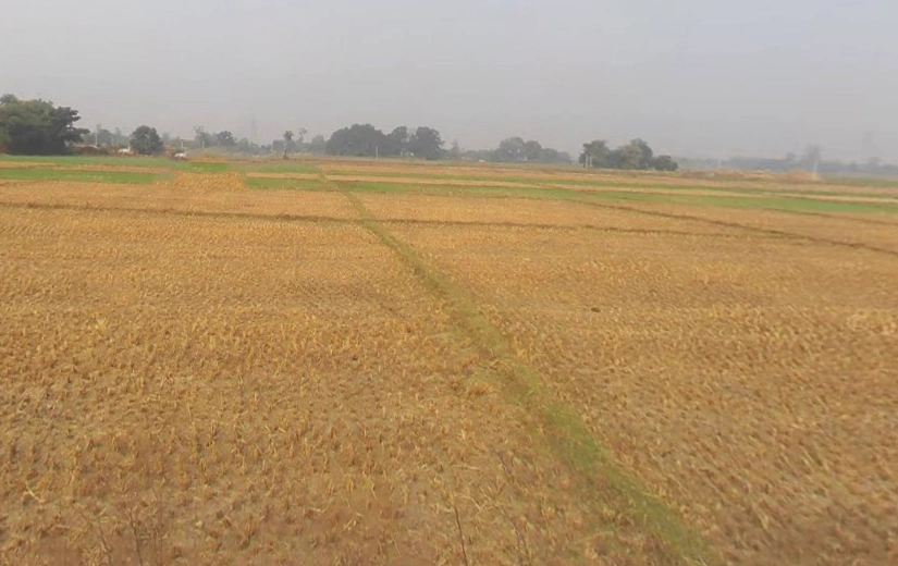 Marihan, Uttar Pradesh 231210, India