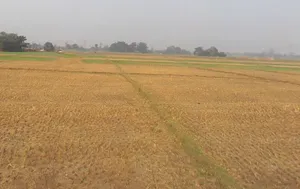 Marihan, Uttar Pradesh 231210, India preview 3