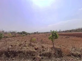 5M2R+57 Teela, Rajasthan, India preview 3