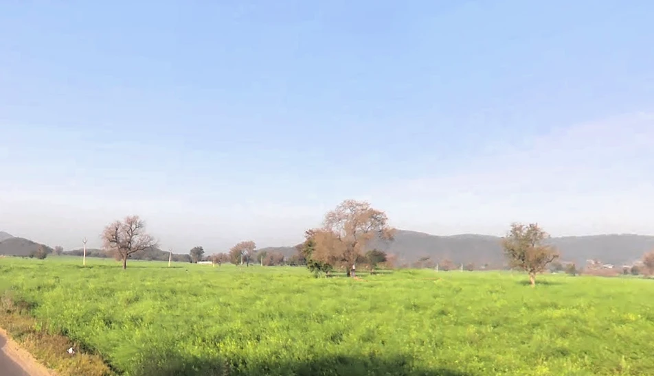 Bawana Gujar, Haryana 123101, India