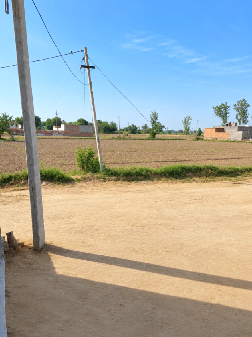 7G79+P76, Hisar, Kohli, Haryana 125052, India - Photo 2