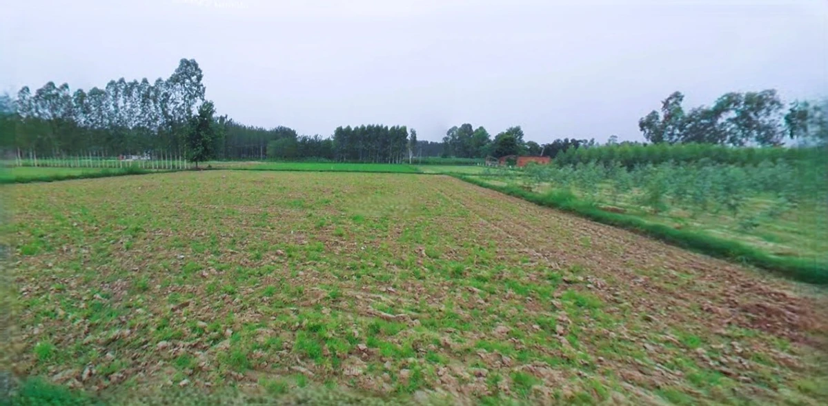 Anupgarh, Rajasthan 335701, India