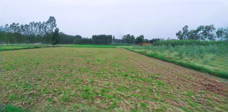 Anupgarh, Rajasthan 335701, India preview 3