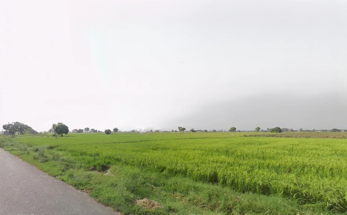 JP79+2QJ, Dhudhian Wali, Haryana 125075, India