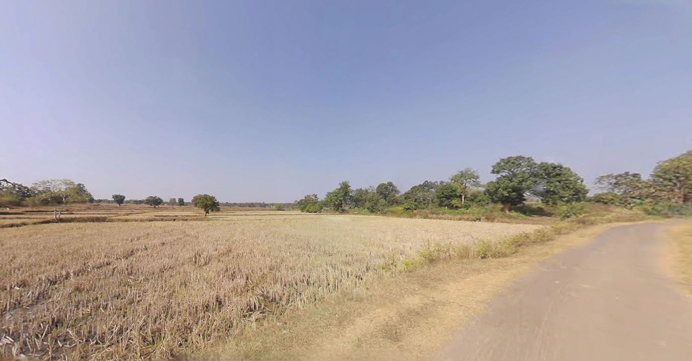 Thekkil, Kerala, India