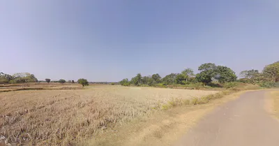 Thekkil, Kerala, India preview 2