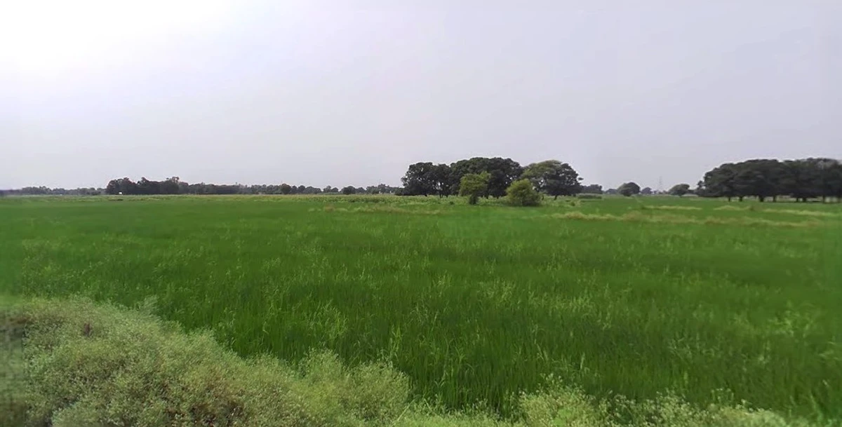 Karwi, Uttar Pradesh 210205, India