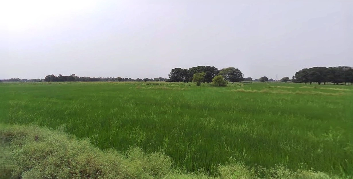 Karwi, Uttar Pradesh 210205, India