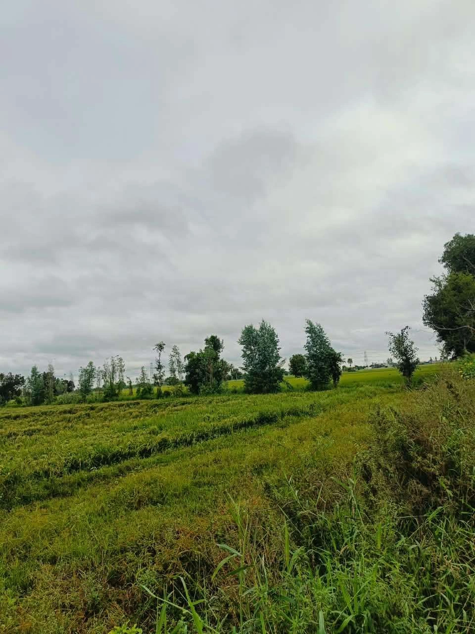 Bheema, Mathura, Uttar Pradesh 281204, India