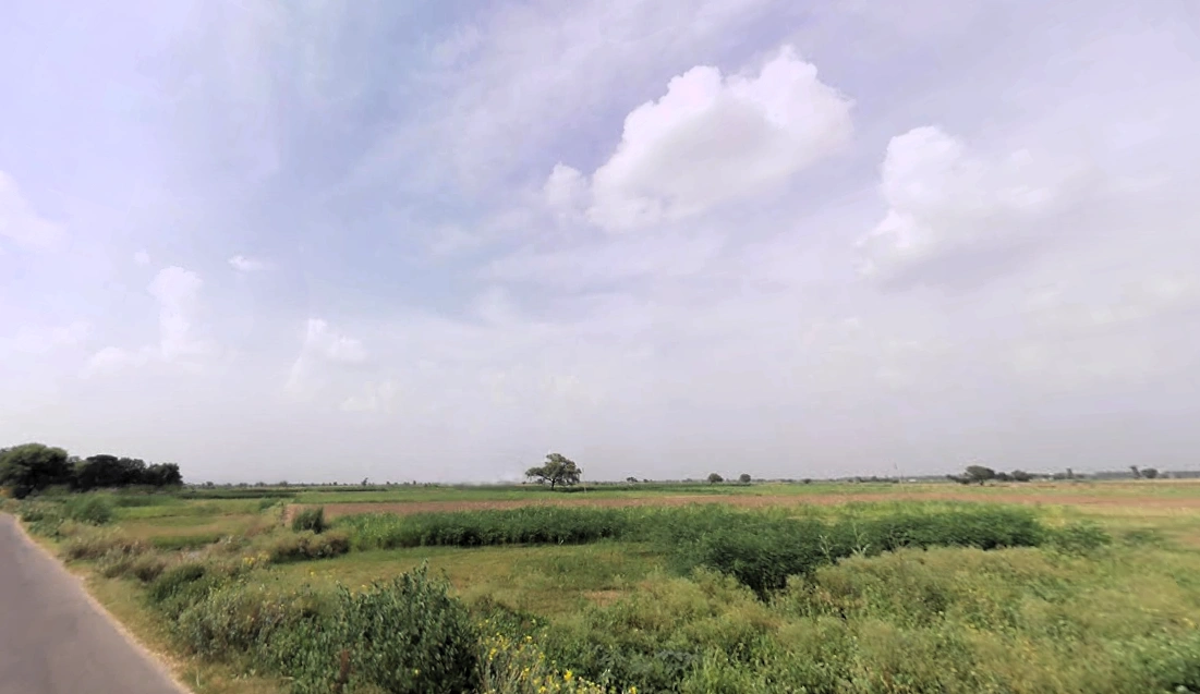Nagina, Haryana 122108, India