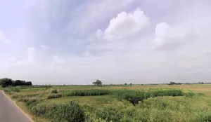 Nagina, Haryana 122108, India preview 2