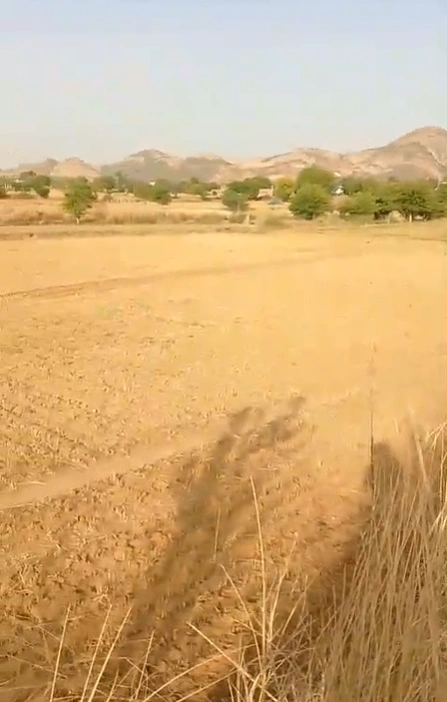 XG5Q+7V9, Begus - Pachar Rd, Baseri, Rajasthan 303706, India