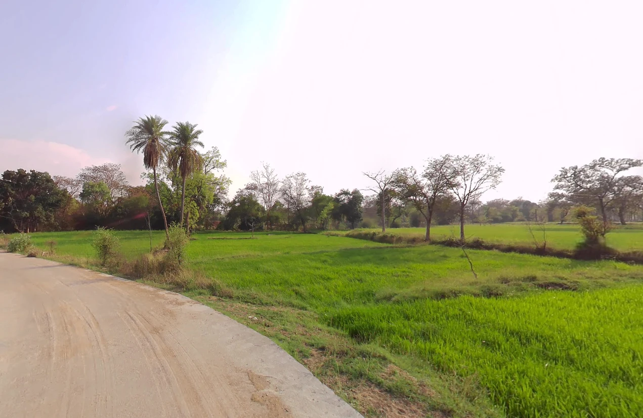 Gukhera, Chhattisgarh 493441, India preview 3